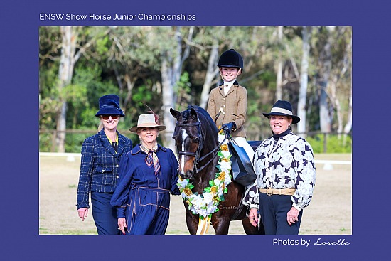 ENSW Show Horse Junior Champs